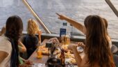 Went for the views, reviewed for the pizza
