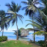 Private & Custom Tours