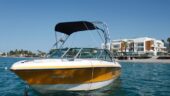 Fantastic boat trip - highly recommend if you are visiting Kalamata Area