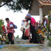 Day Trips & Excursions