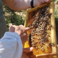 Sustainable Tours