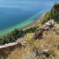Half-day Tours