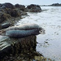 Shore Excursions