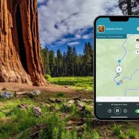 Walking Tours