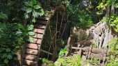 Escape the Crowds: A Hidden Waterfall & Authentic Saint Lucia Experience