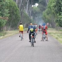 Bike Rentals