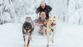 Fun experience with fantastic dogs in a beautiful settting