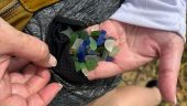 The amount of sea glass...
