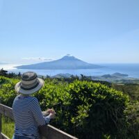 Day Trips & Excursions