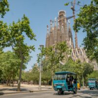 Hop-on Hop-off Tours