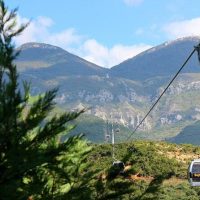 Trolley Tours