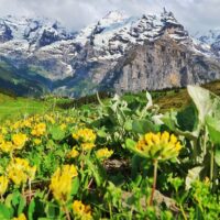 Day Trips & Excursions