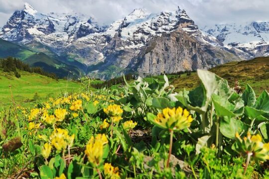 New Year’s Day long weekend in Lauterbrunnen