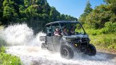 Daintree visit