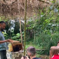 Sustainable Tours