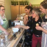 Holiday & Seasonal Tours