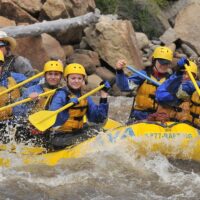 Holiday & Seasonal Tours