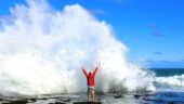 Explore the Catlins - a great option to travel from Dunedin directly to Lake Te Anau.