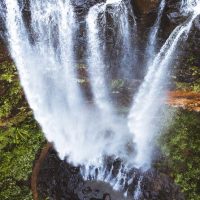 Eco Tours