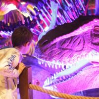 Sightseeing Tickets & Passes