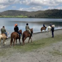 Horseback Riding