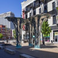 Cultural Tours