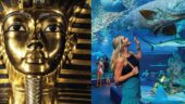 Worth visiting The Pharoah Exhibition & Aquarium