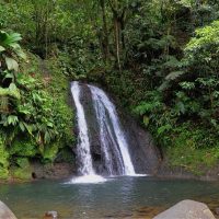 Day Trips & Excursions