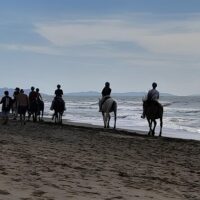 Horseback Riding