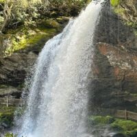 Full-day Tours