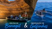 Dolphins and whales and caves, oh my!