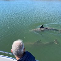 Cruises, Sailing & Water Tours