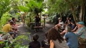Explore La Palma's banana jungle