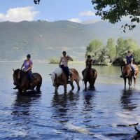 Horseback Riding