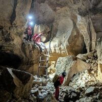 Holiday & Seasonal Tours