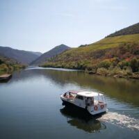 Wine Tasting & Winery Tours