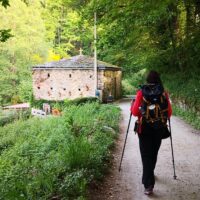 Running Tours