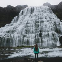 Bus & Minivan Tours