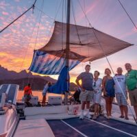Catamaran Cruises