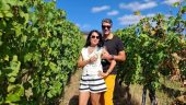 Wonderful Wine Tour Experience
