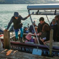 Shore Excursions
