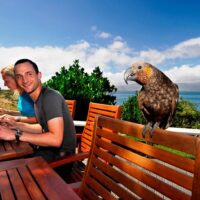 Private Sightseeing Tours