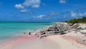 Sweet Antigua Memories