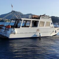 Day Trips & Excursions