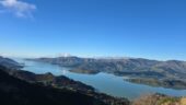 Elyana turned our Christchurch tour into an unforgettable Akaroa adventure—dolphins, amazing food, and wonderful memorie