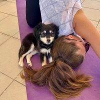 Classes & Workshops