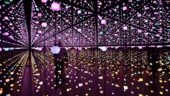 Meow wolf