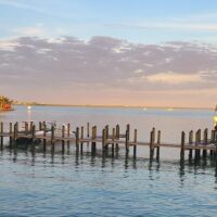 Half-day Tours