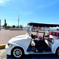 Private Sightseeing Tours