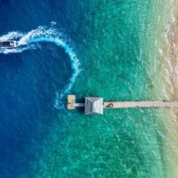 Boat Tours